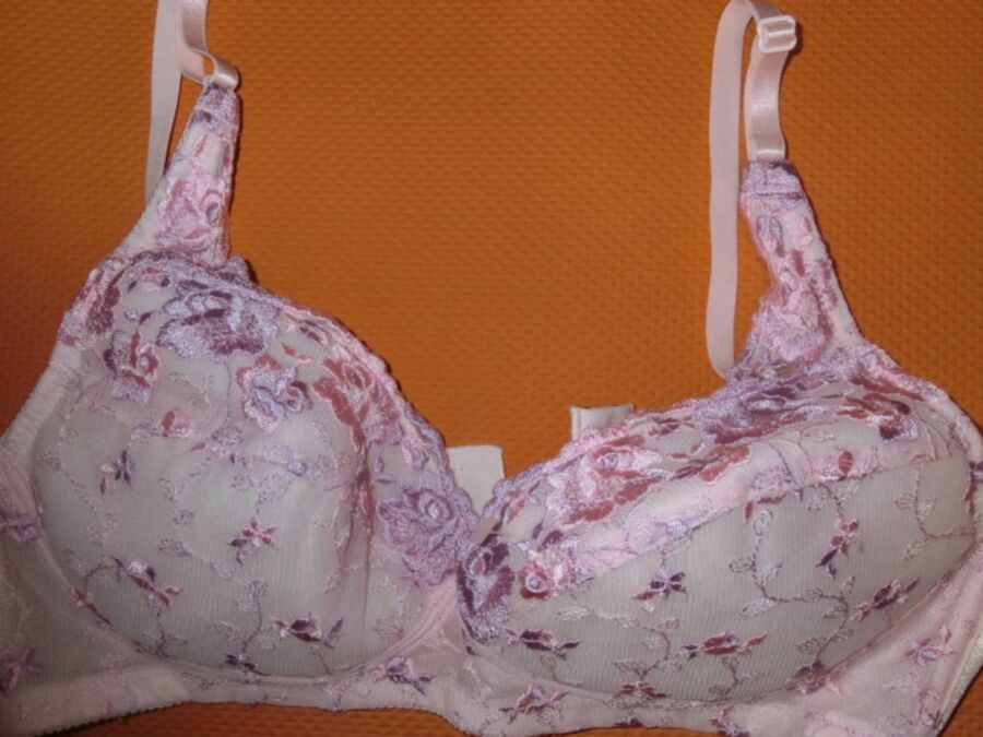 Free porn pics of japanese underwear 12 of 12 pics
