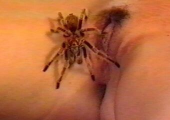 Free porn pics of Spider Girl 4 of 8 pics