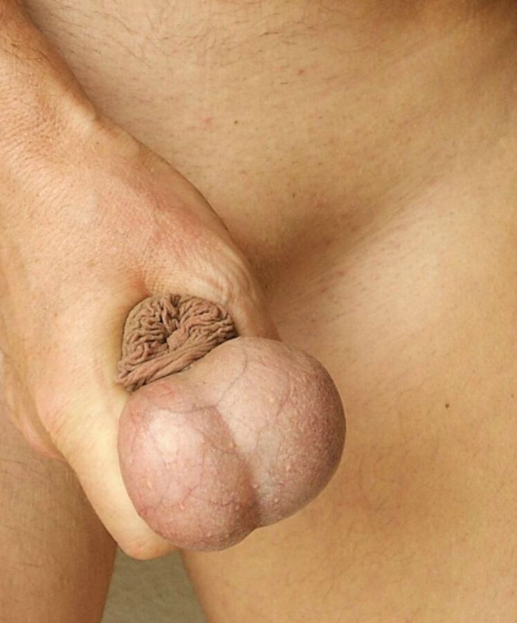 Free porn pics of shaved balls 2 of 5 pics