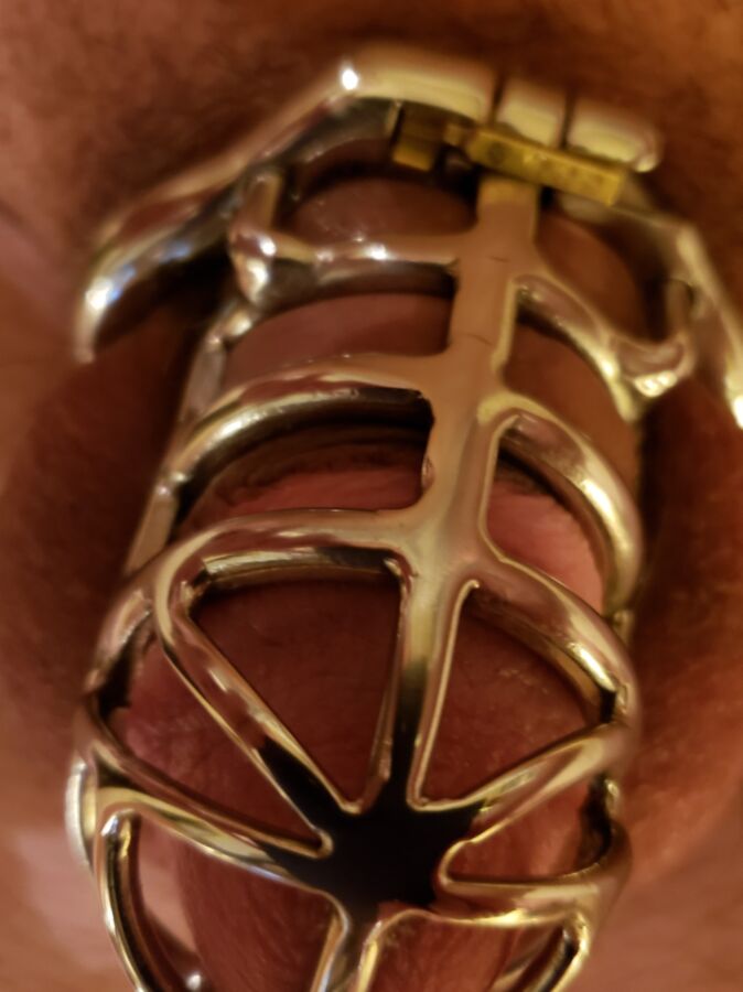 Lockup, my slut has the key 4 of 4 pics