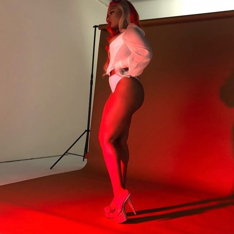 Thirsty Whore Megan Thee Stallion 12 of 14 pics