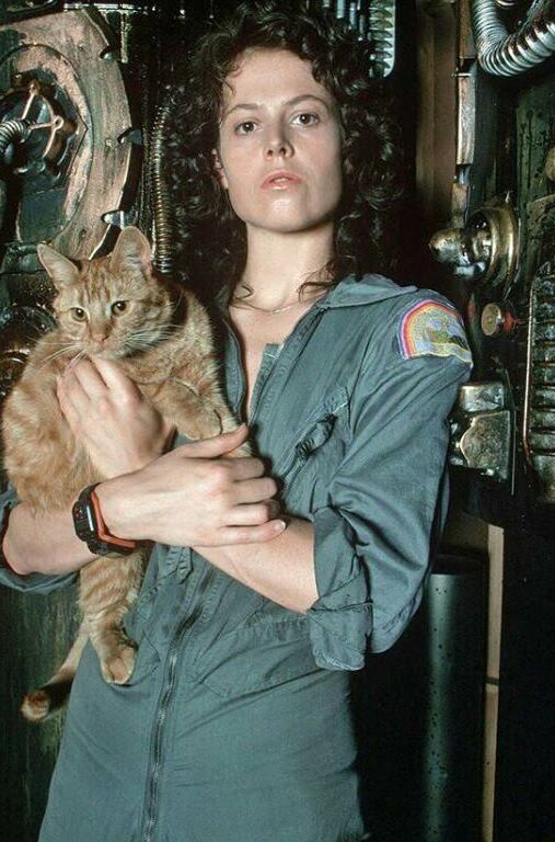 Ellen Ripley 23 of 104 pics