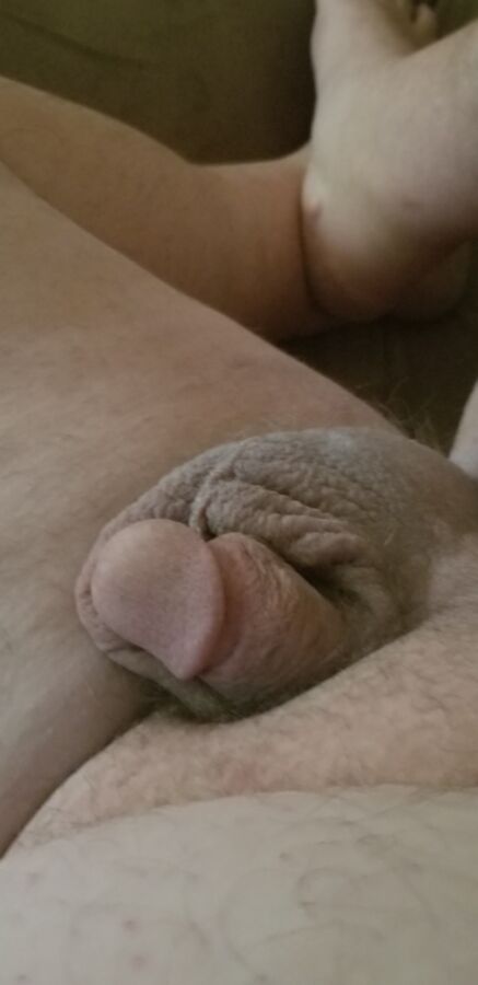 Fat man small penis 12 of 12 pics