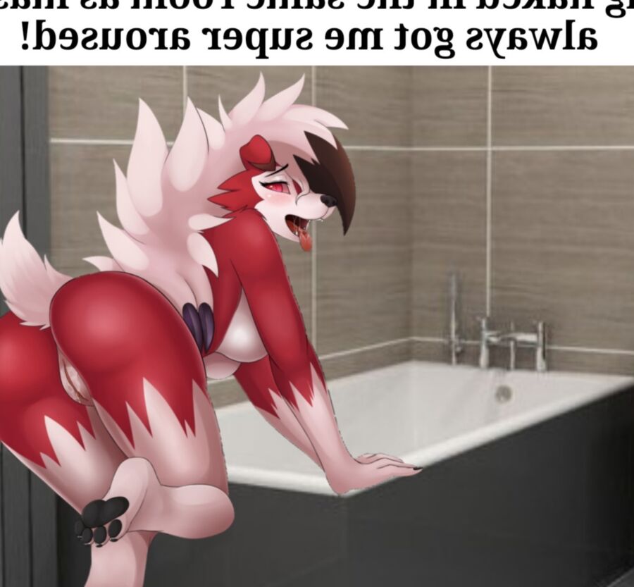 Midnight Lycanroc Captions 2 of 15 pics