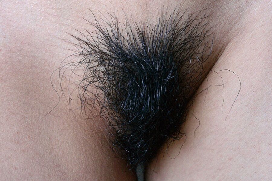 Hairy Snatches 15 of 30 pics