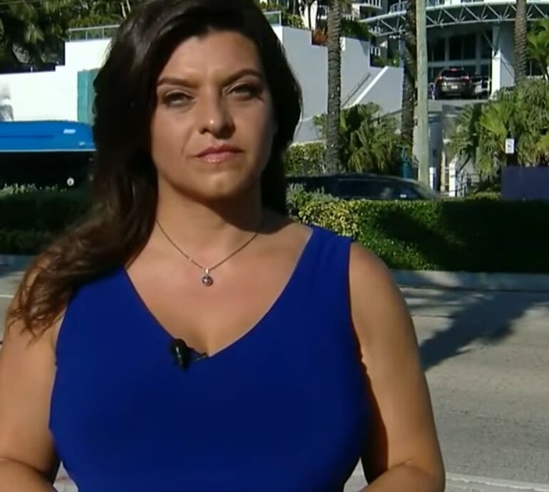 Busty News Reporter 1 of 9 pics