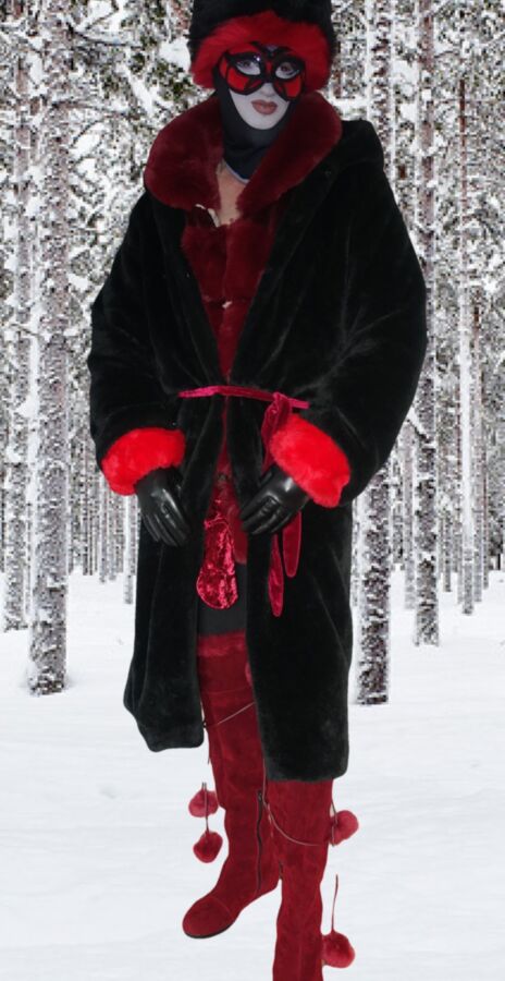 Red and Black Furs in the Forest 1 of 9 pics