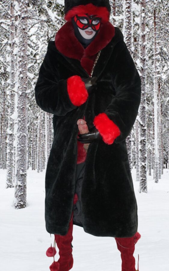 Red and Black Furs in the Forest 5 of 9 pics