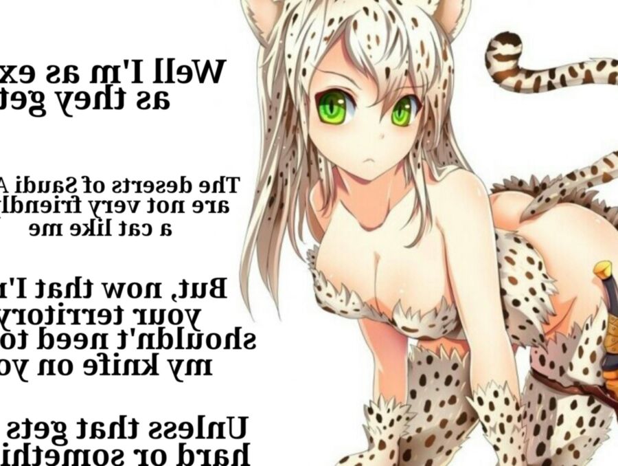 Anime Neko Girl Captions  18 of 20 pics