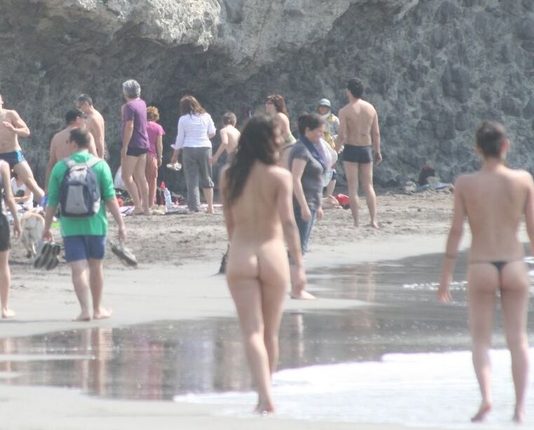 Sexy Nude Beach Babe With A Bush 5 of 63 pics