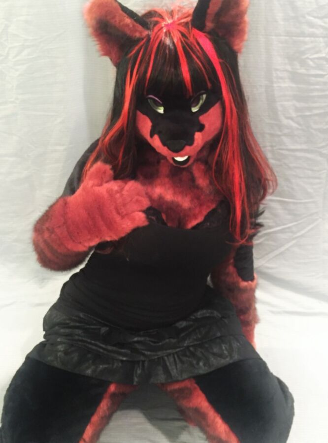 fursuit female solo 20 of 1165 pics