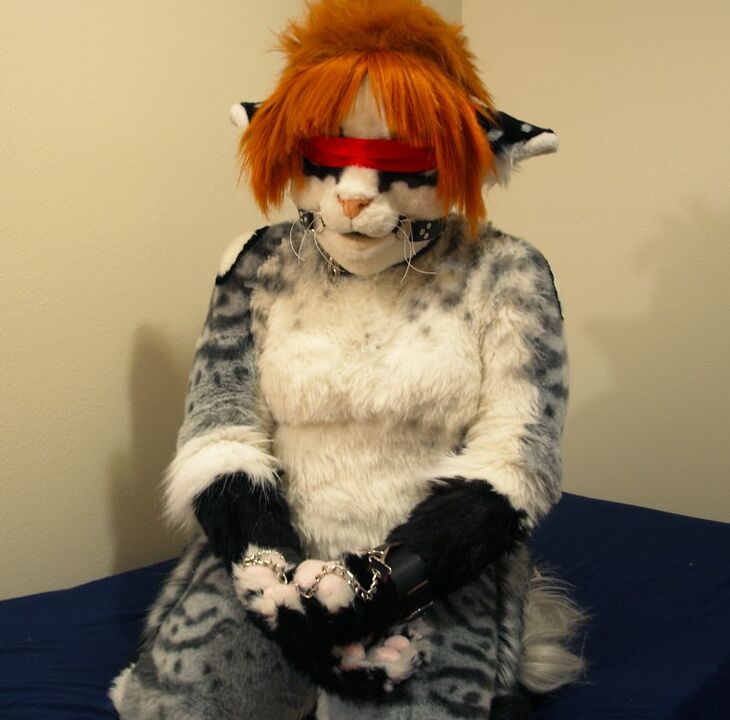 fursuit female solo 4 of 1165 pics