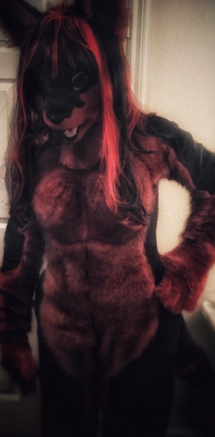 fursuit female solo 2 of 1165 pics