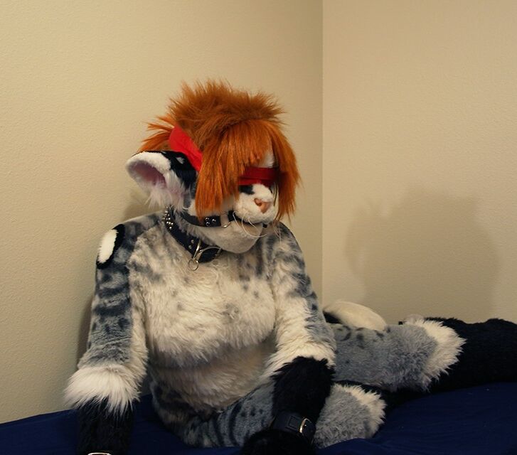 fursuit female solo 15 of 1165 pics