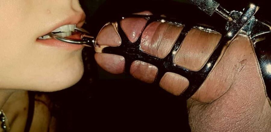 switch-in-love bdsm cbt play 4 of 201 pics