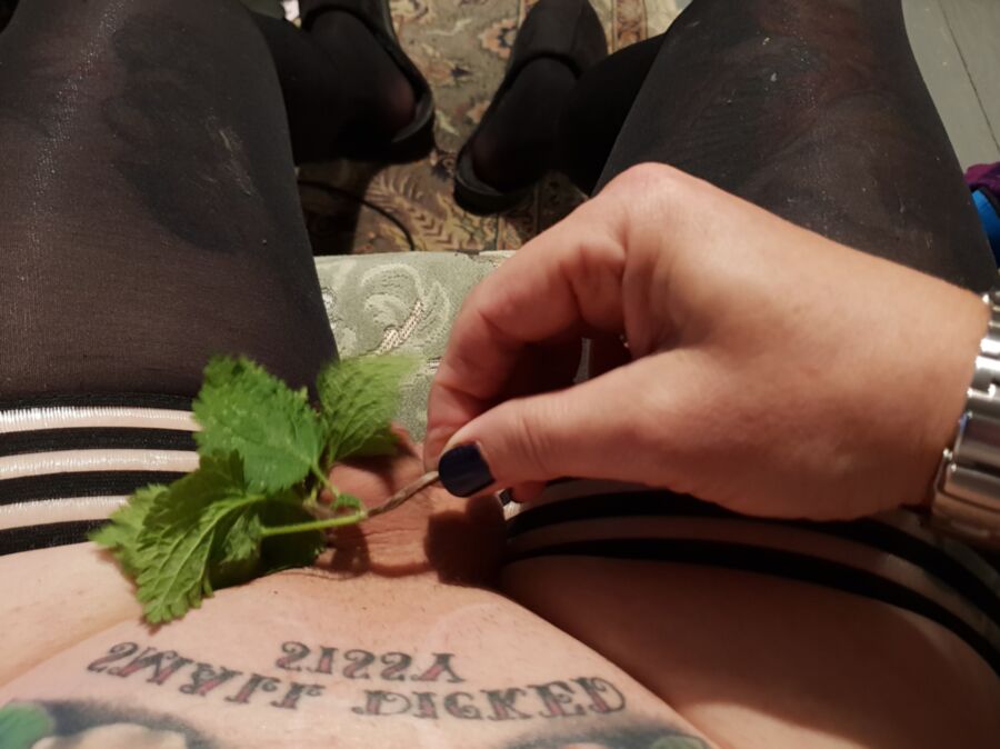 A fun stinging nettle session 17 of 18 pics