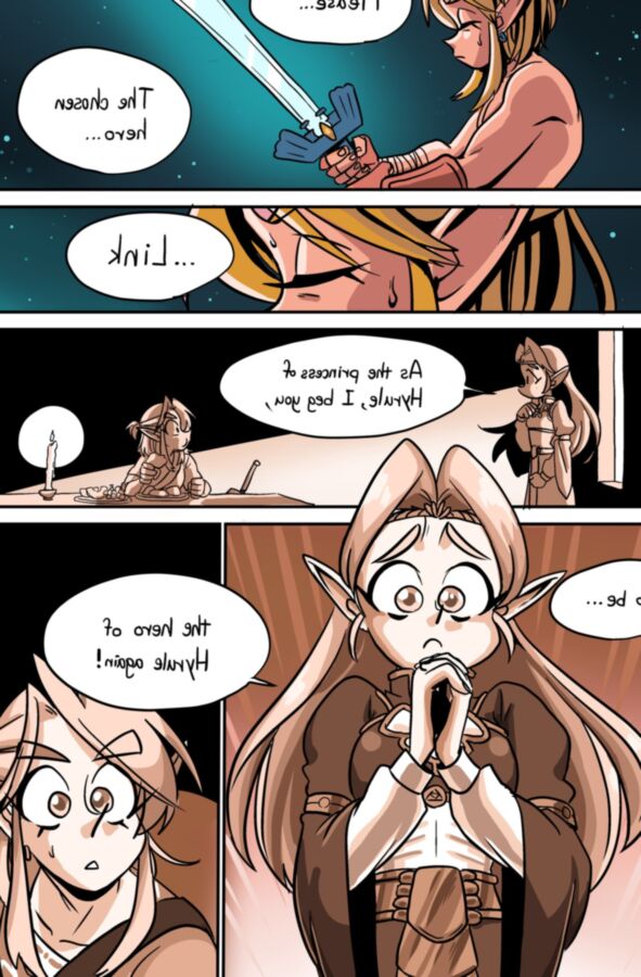 Zelda Comix: Hero of Hyrule 2 of 31 pics