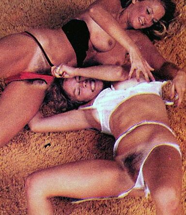 Catfight ( Vintage ) 7 of 25 pics