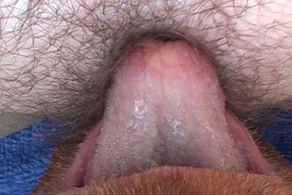 Melbourne FL Milf Cynthia Browns Hairy Pussy Licked 19 of 28 pics