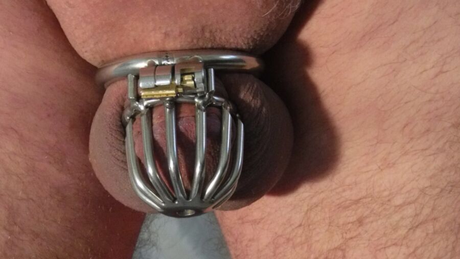 Small Sissy Cock in Chastity 8 of 15 pics