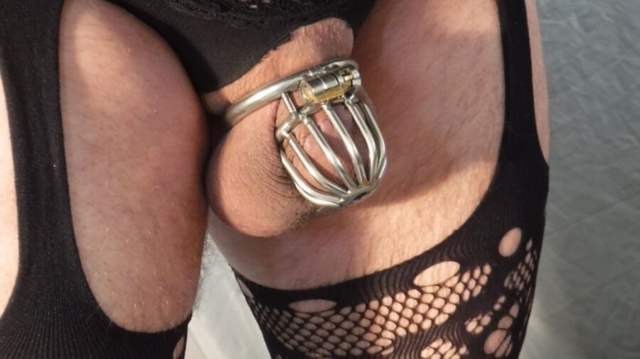 Small Sissy Cock in Chastity 12 of 15 pics