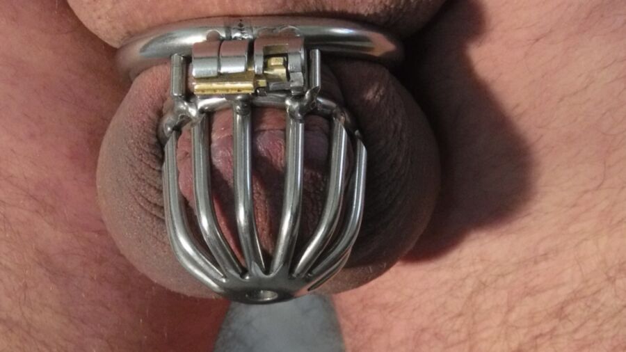 Small Sissy Cock in Chastity 14 of 15 pics