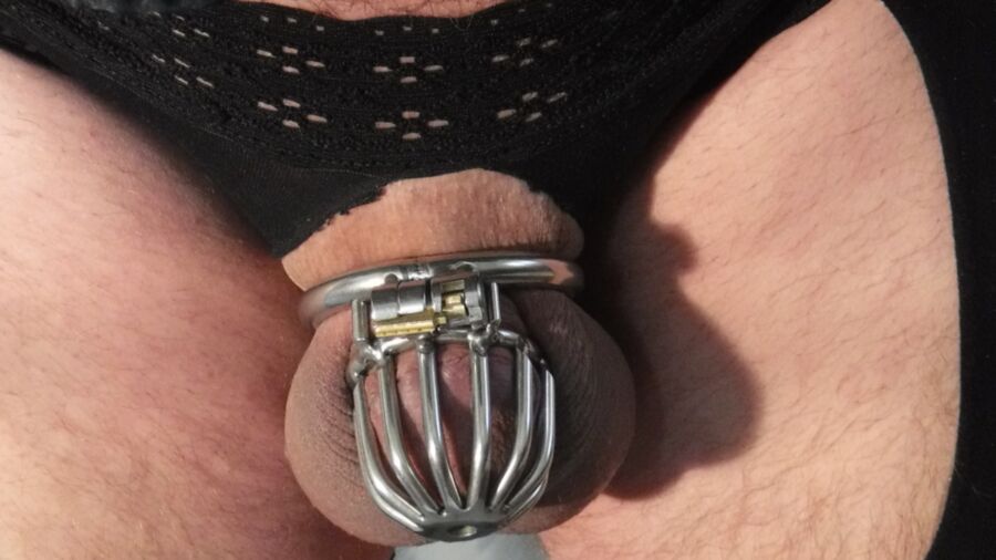 Small Sissy Cock in Chastity 3 of 15 pics