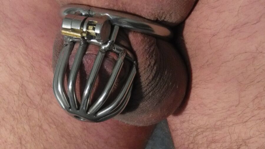 Small Sissy Cock in Chastity 5 of 15 pics