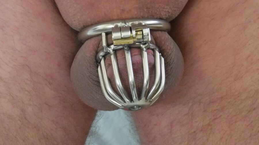 Small Sissy Cock in Chastity 6 of 15 pics