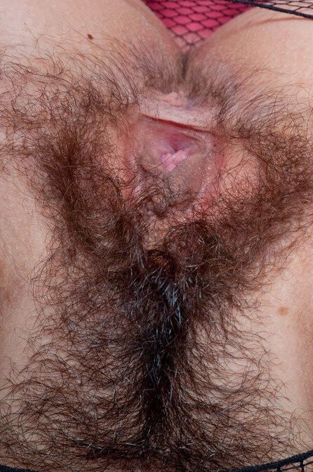 a bunch of hairy holes 17 of 24 pics