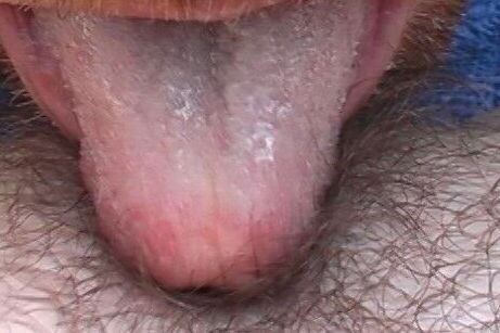 My Hairy Pussy Getting Licked 24 of 28 pics