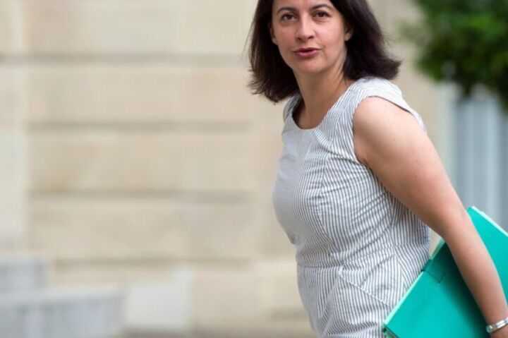 French politician Cecile Duflot 6 of 102 pics