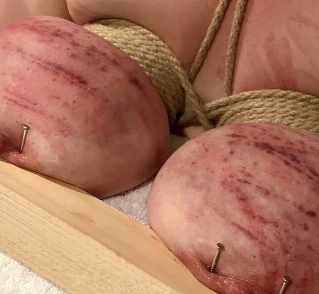 Abused Pig Tits 5 of 16 pics