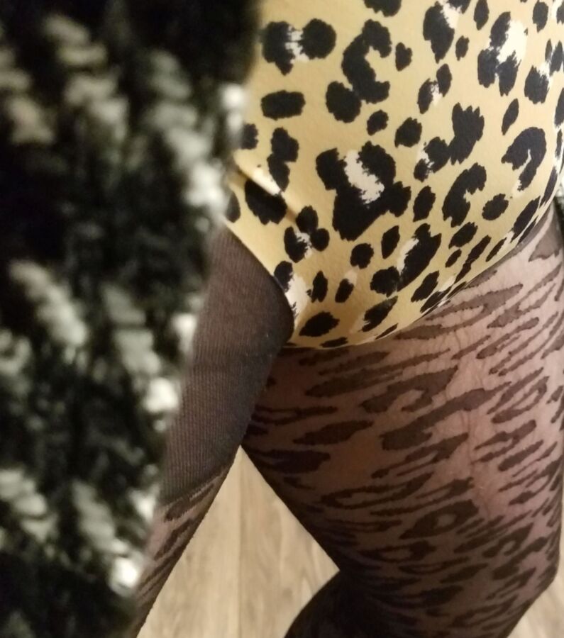 Ms. Evelyn in Animal Print Hose and Panties 4 of 15 pics