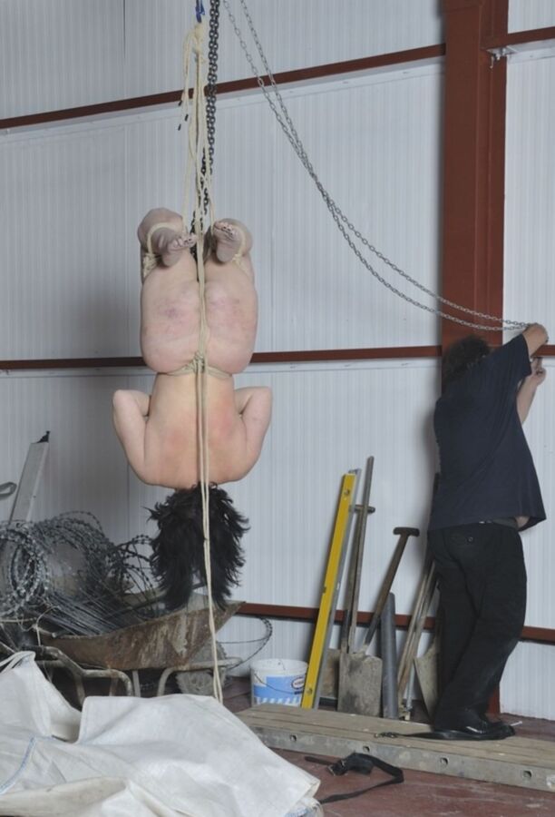 Plump Brunette Tied, Suspended & Tortured 5 of 91 pics