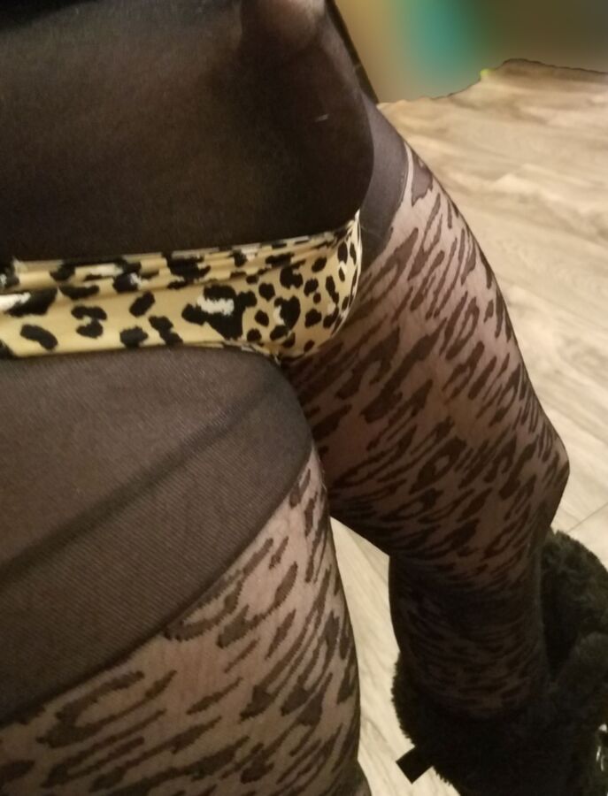 Ms. Evelyn in Animal Print Hose and Panties 6 of 15 pics