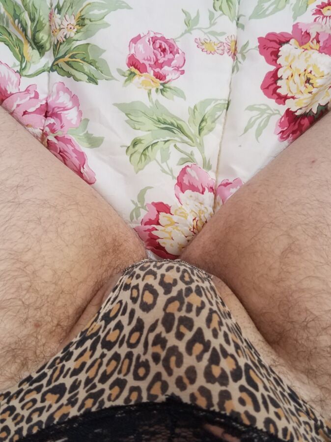 Leopard Panties 1 of 6 pics