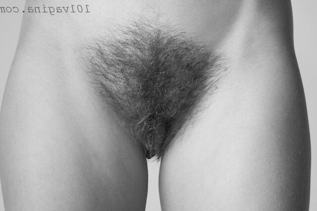 Tumblr Hairy Pussy Land 10 of 732 pics