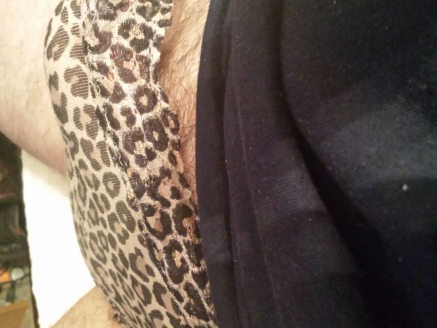 Stolen Leopard panties 3 of 13 pics