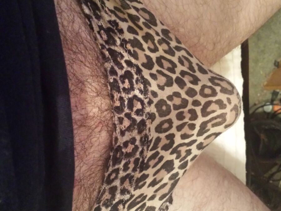 Stolen Leopard panties 1 of 13 pics