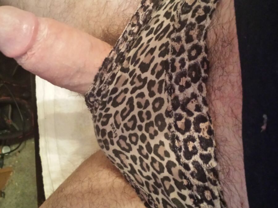 Stolen Leopard panties 8 of 13 pics