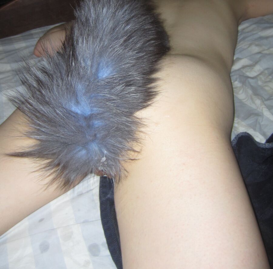 tail 2 of 6 pics
