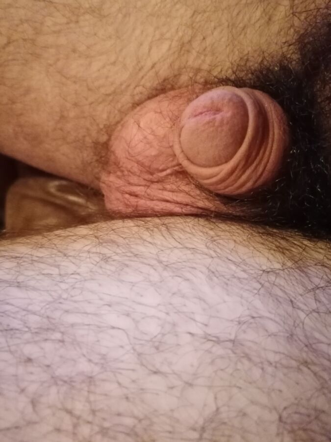 Just My Little Dick 2 of 7 pics