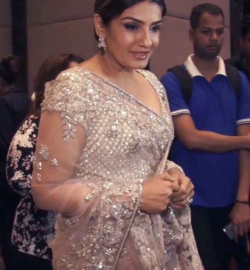 Raveena Tandon- Busty Indian Bollywood Celeb Stunning in a Saree 11 of 27 pics