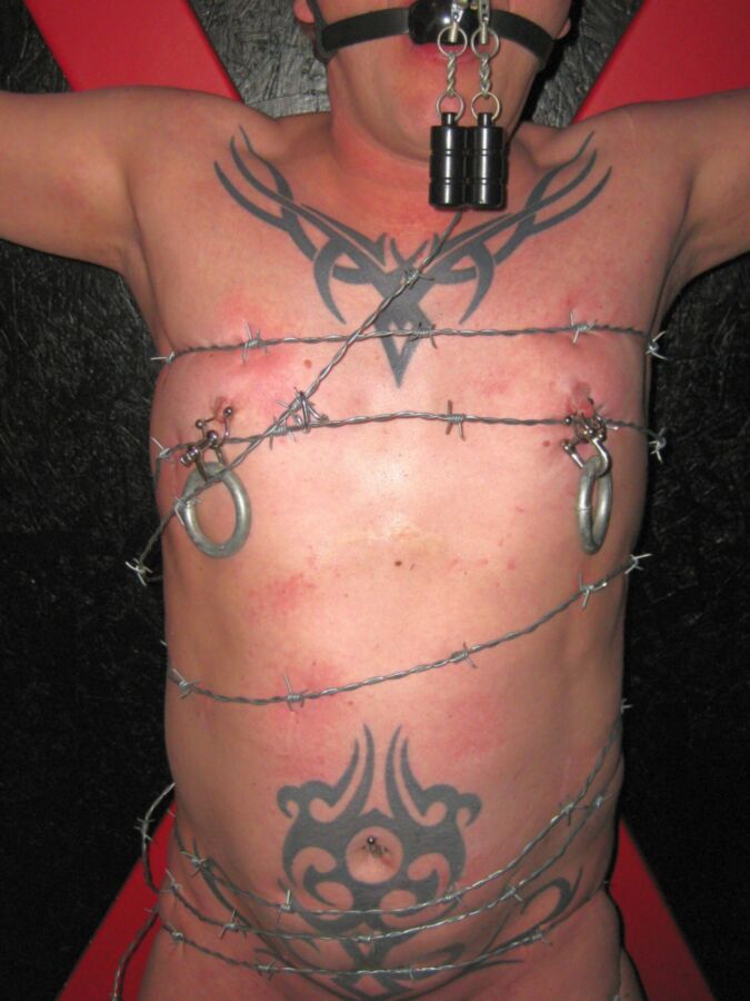 punishment - cbt - needle - brabet wire - pain 6 of 31 pics