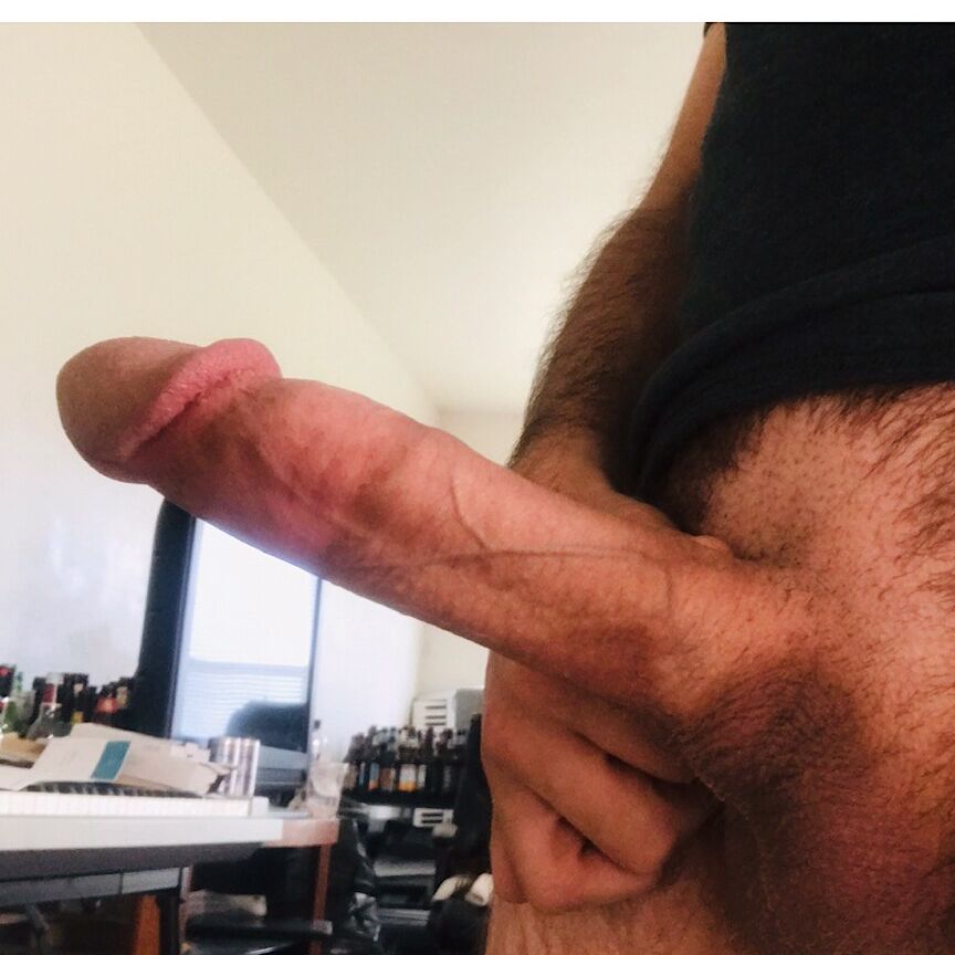 It wants your pussy 9 of 10 pics