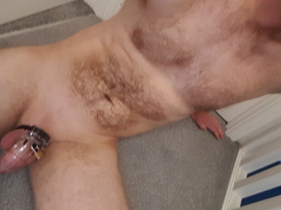 Chastity Time 4 of 9 pics