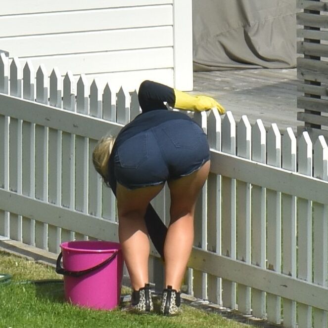 Swiss Maid Cleaning Fence 7 of 23 pics