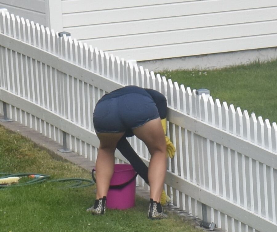 Swiss Maid Cleaning Fence 2 of 23 pics