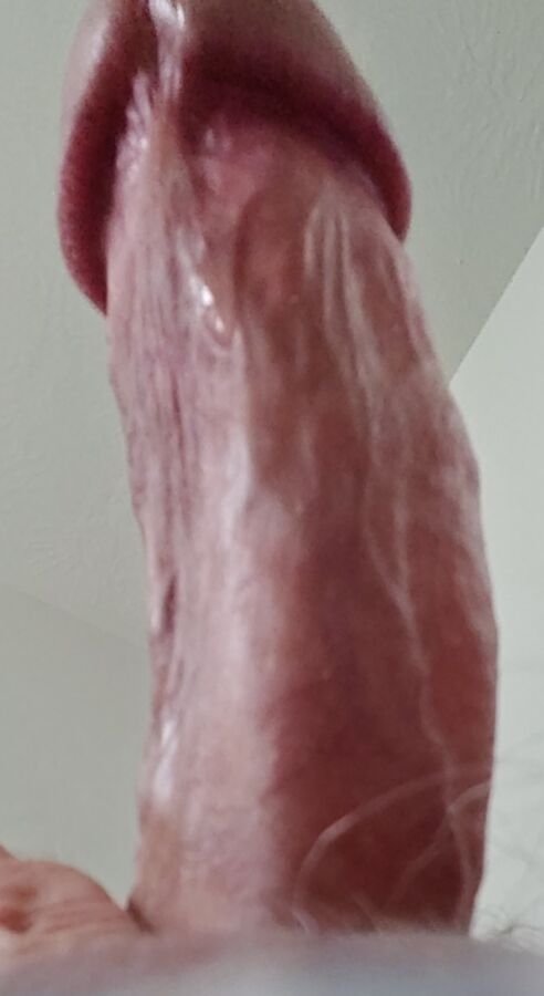 My Fat Crooked Dick 19 of 19 pics